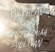 Pulphead: Essays